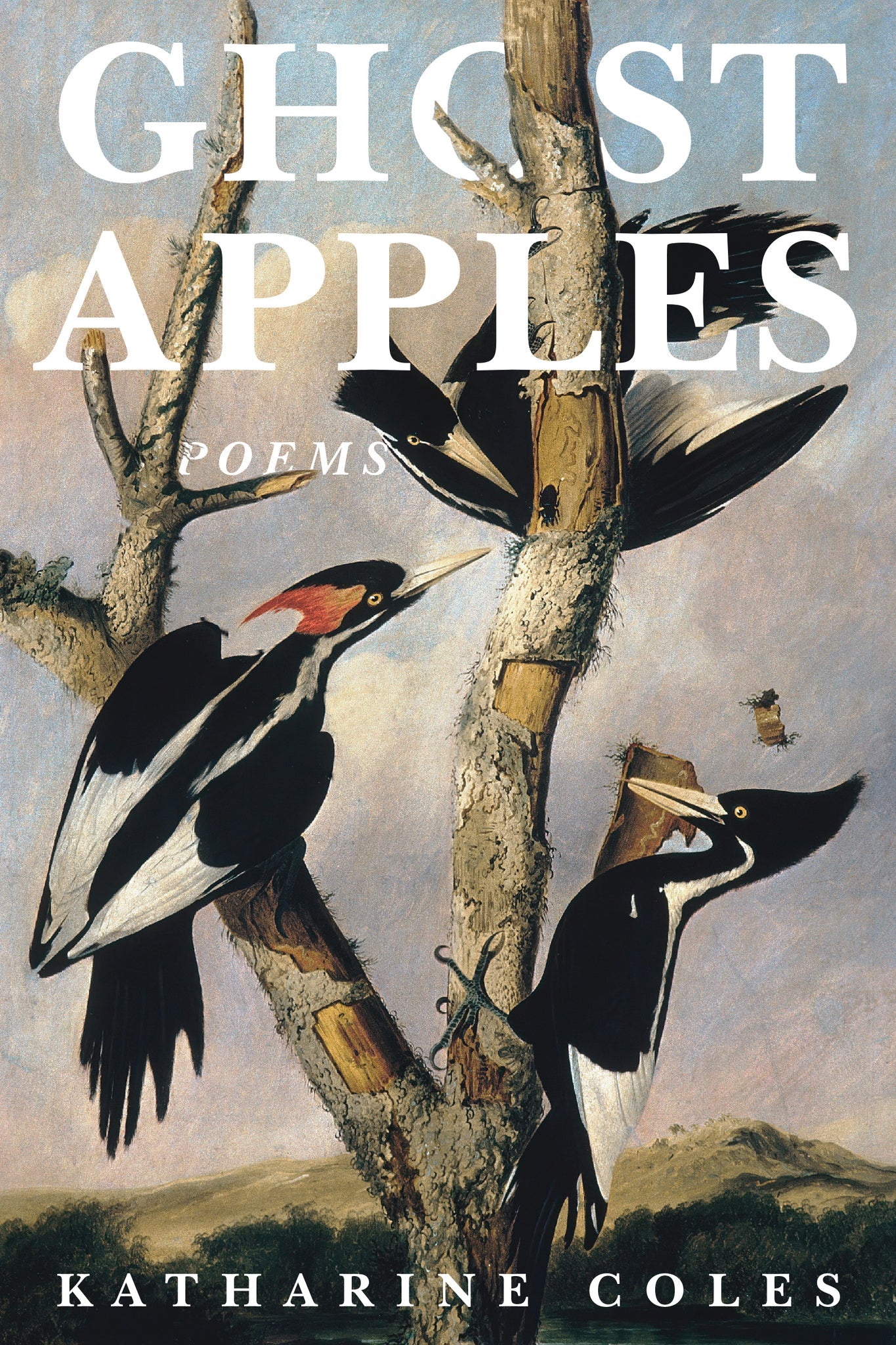Cover image for Ghost Apples ISBN 9781636280851